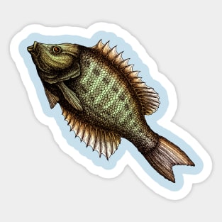 FISH ART Sticker